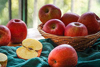 《铁血战士：狩猎场》主机版10月1日发售 登陆PS5和XSX|S